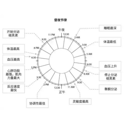 ee12ae3f-9706-48c4-a012-c7d14667e871-1496348.jpg